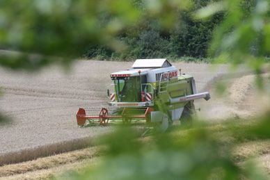 aujourd'hui c'est la moisson
il fait beau on en profite