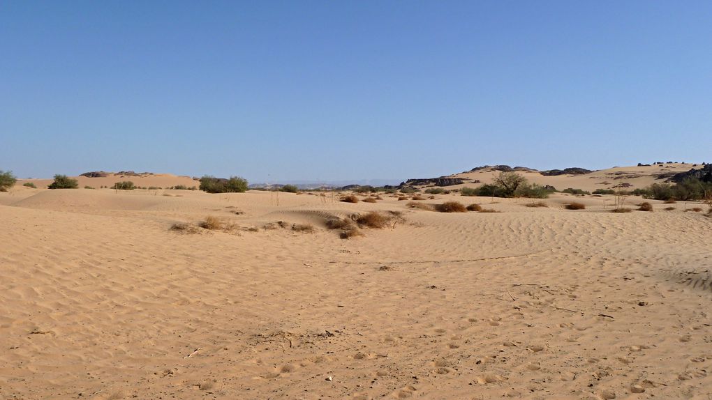 TREK D'UNE SEMAINE DANS LE MASSIF DE LA TADRART - DEFILEMENT DES COULEURS - SAHARA ALGERIEN - SUD EST (NOVEMBRE 2010)