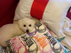 Tuto Coussin Noeud