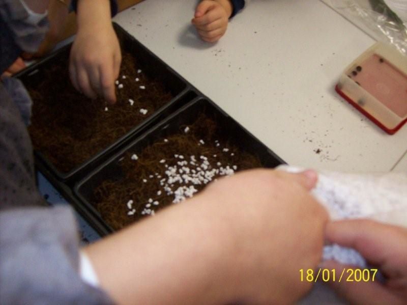 A travers ces photos, vous allez (re)découvrir les activitées réalisées par vos enfants au cours de cette année très riche !