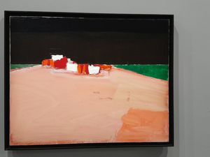 Nicolas de STAËL au MAMVP - 2ème partie 