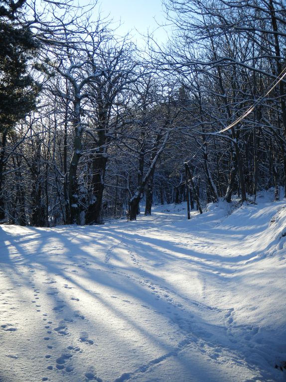 Une petite balade ce matin-là avec 5-6 cm de neige le soleil commencer a sortir ...