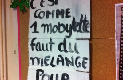 "LA FRANCE C'EST COMME UNE MOBYLETTE, POUR AVANCER IL LUI FAUT DU MÉLANGE" (1983)