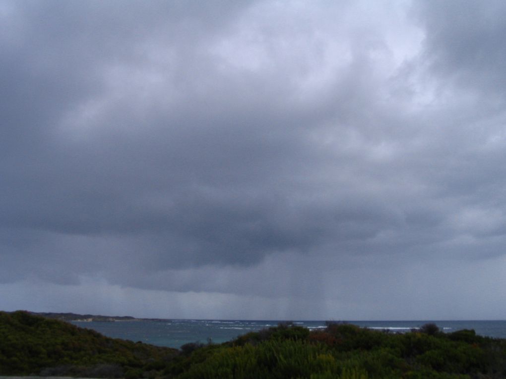 Album - Rottnest-Island