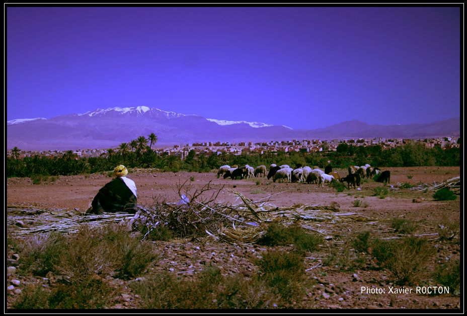 Album - MAROC