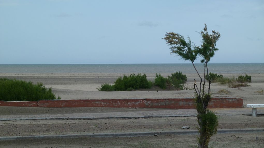 Album - La-côte-patagonienne