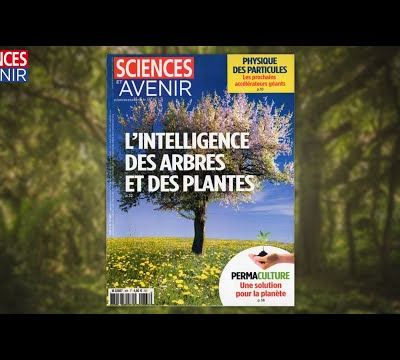 SCIENCES & AVENIR (juin 2019) : L'intelligence des plantes et des arbres