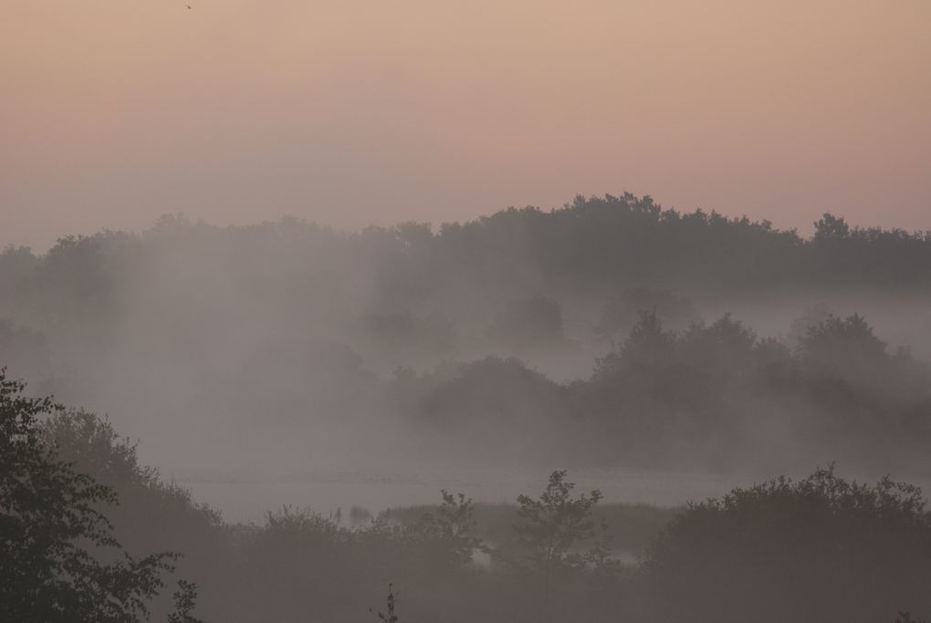 Album - Aube-en-Brenne