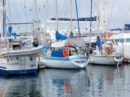 Archipel des Açores.
Visite des îles : Faial - Terceira