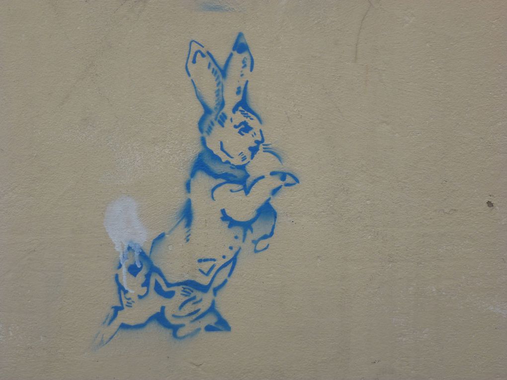 Pour découvrir l'album, suivez le lapin blanc!! L'Australie regorge de tags, pochoirs et graffitis en tout genre... Si Sydney propose des pépites artistiques, ce n'est rien comparé à Melbourne! Enjoy!