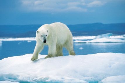 Le climat se gâte, les GES augmentent quand la capacité de la terre de les ingérer diminue.