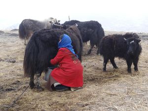 Gansu Sud - Langmusi