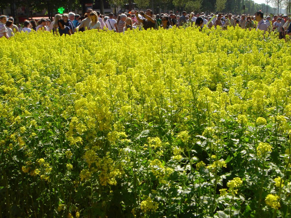 Festival de la nature week-end de la pentecôte, photos prises lundi 24 mai entre 9h30 et 11h !