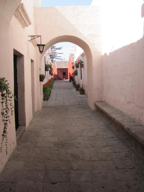 Album - 056-Perou-ArequipaCanyonColca-11au16mars