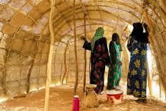 Les femmes Toubous construisant les maisons   à l'arrivée sur le nouveau campement .On voit ainsi sur ces photographies comment elles places les banches (qui feront tenir les maisons) ,comment elles tressent les nappes et enfin la maison une fois qu'elle est fini  . ( source : lefigaro-fr ) ,(ventdusud.org) . 