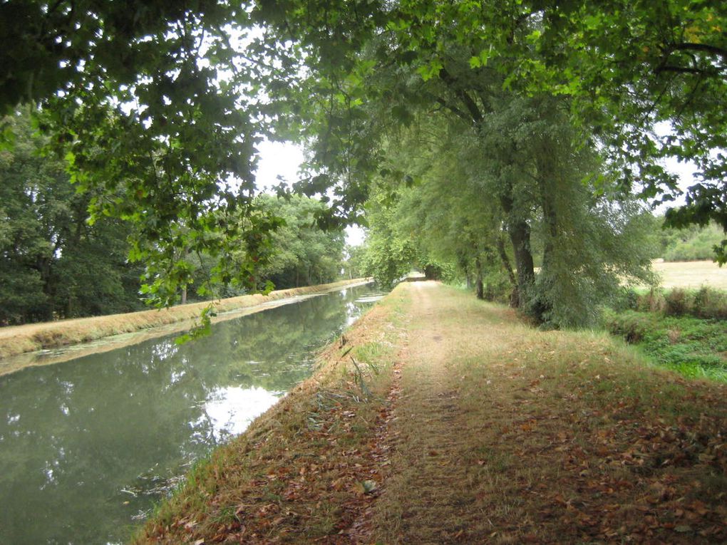 Pain au raisin de la boulangerie de Vierzon puis je longe un nouveau canal sur quelques kilomètres pour sortir de la ville. Plus loin, j'utiliserai le robinet d'un cimetière pour enlever la boue accumulée sur les roues. Le temps est très couvert.