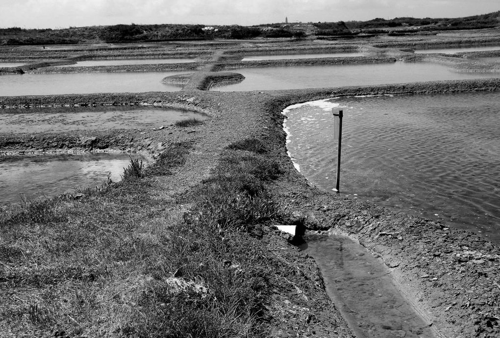 Album - Les Marais-salants de Guerande en noir et blanc