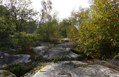 Au creux d'un rocher