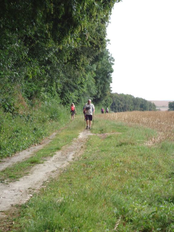 Montée vers le bois du Roi