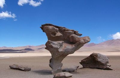 Bolivie : l'arbre de pierre.
