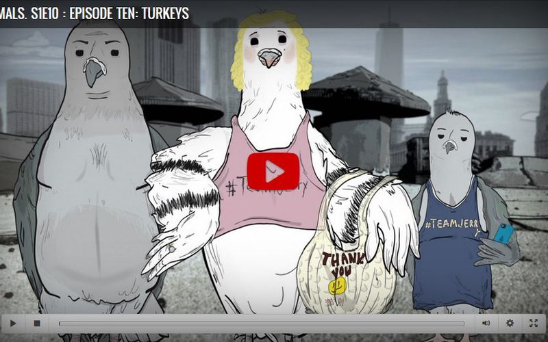 Animals. Season 1 Episode 10 Episode Ten: Turkeys