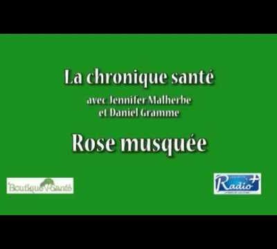 La rose musquée une huile de beauté indispensable