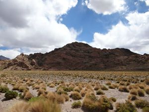 4 jours de rêve entre le salar d´Uyuni et le sud Lipez