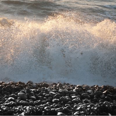 Sans cesse, de vagues sentiments à découvert avant l'étale