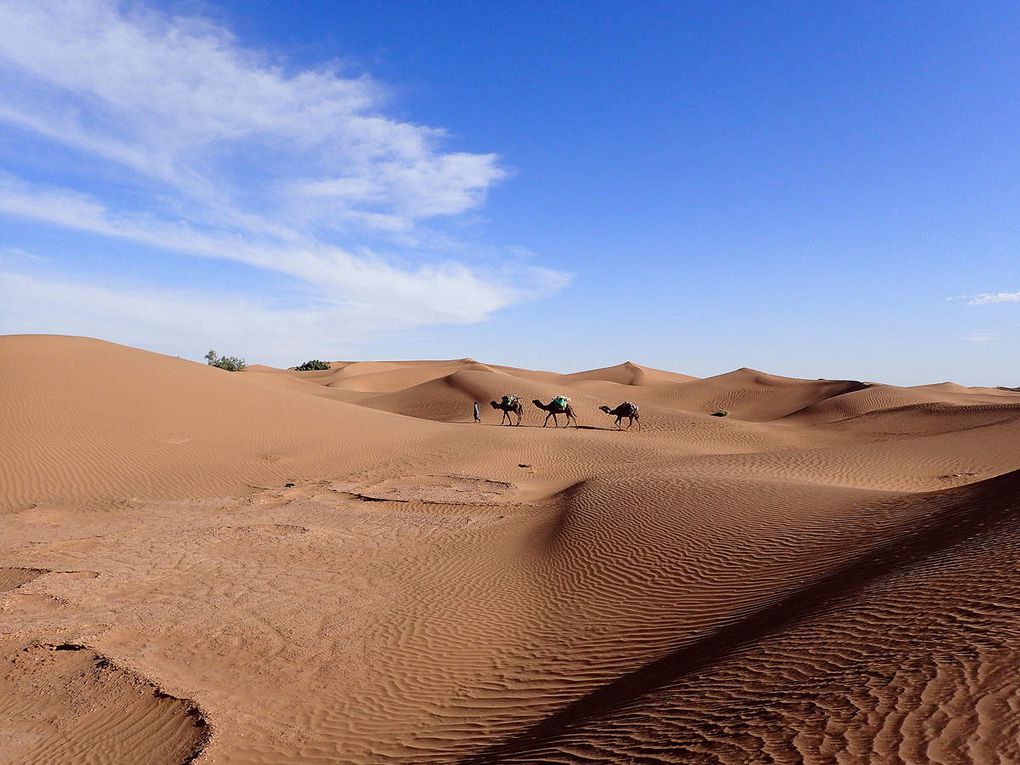 Jamal YAKOT - Manager de Maroc Tourisme Guide – Tél Whatsapp : +212 614-057865 - Tél : +212 666-349480  - Mail : maroc.tourisme.guide@gmail.com - Site : www.maroc-tourisme-guide.com 