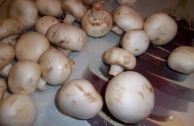 Velouté de champignons