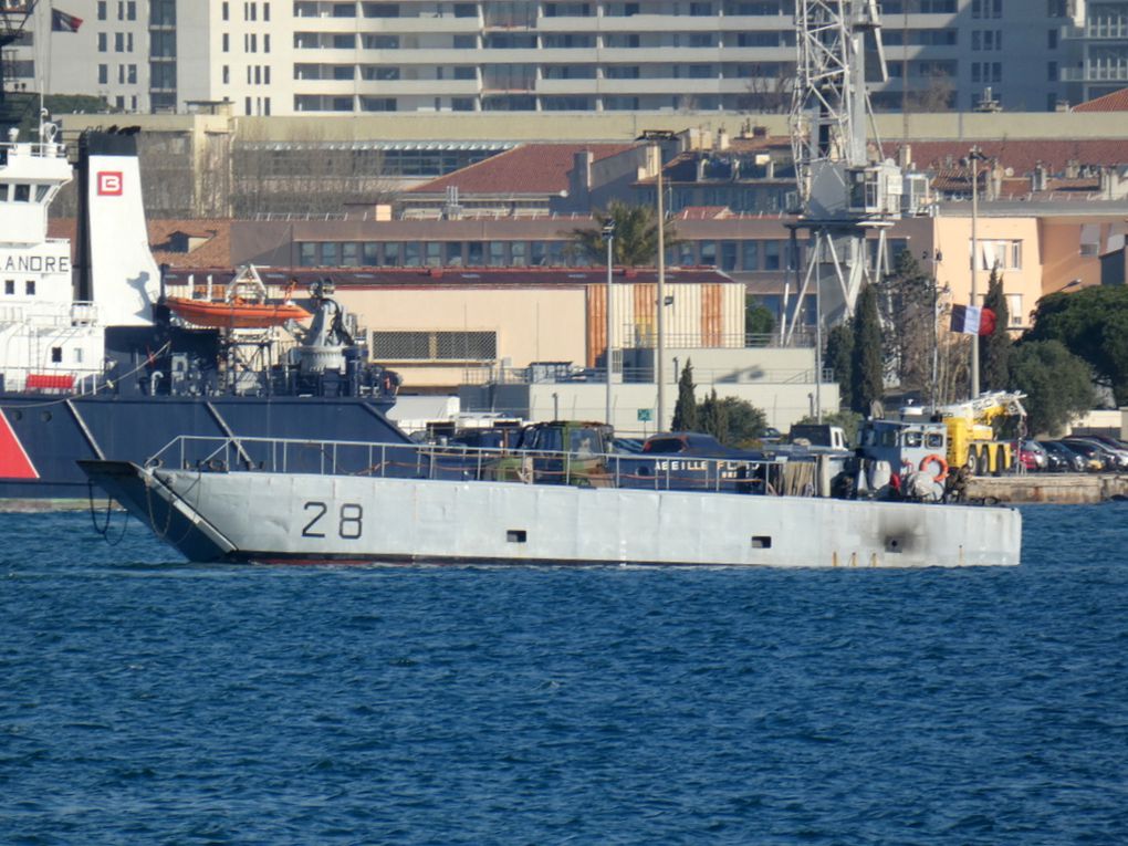TONKIN  , CTM 28 , chaland de débarquement de chars  , en petite rade de Toulon le 25 février 2020