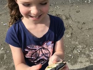 Vancouver - la plage