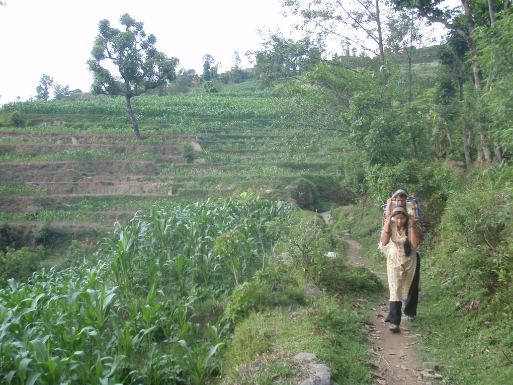 Sindhupalchok - Jyamire