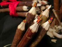 © MES PETITS CRAYONS : crayons de couleur en branche de bois