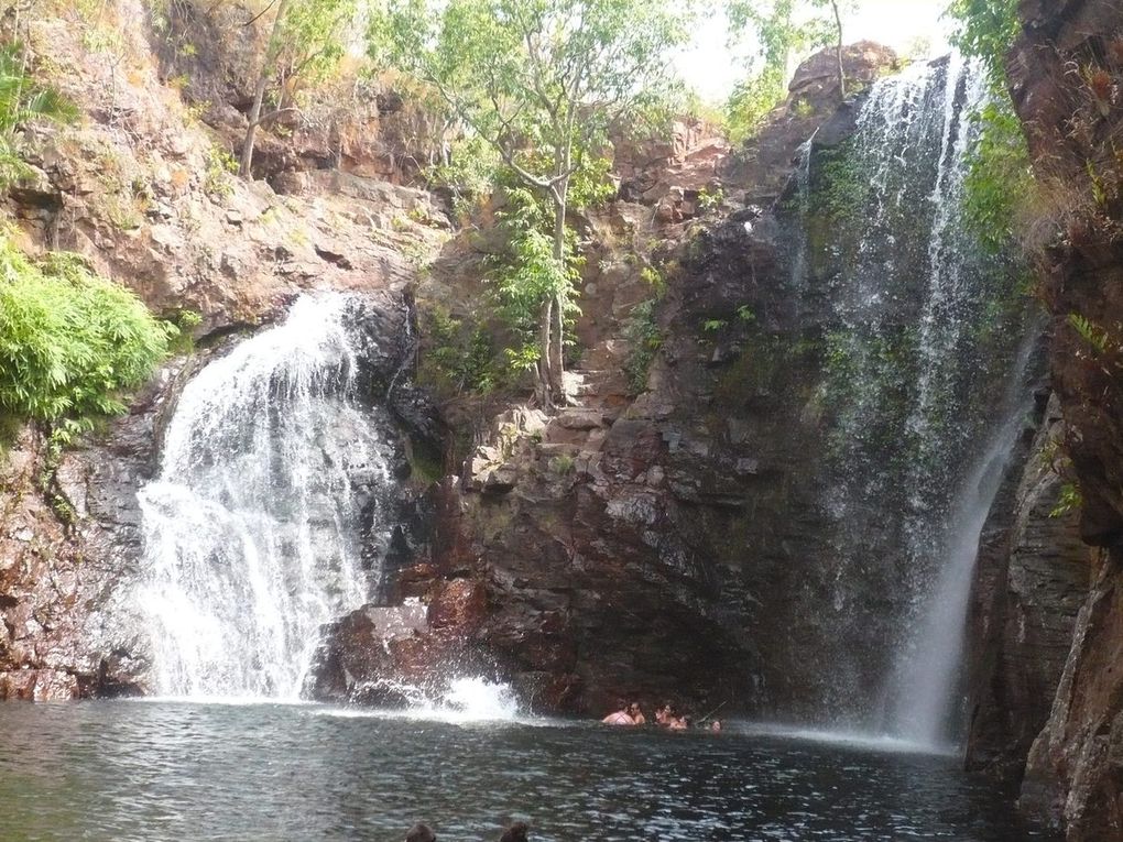 Un circuit très intéressant Visite du Parc de KAKADU avec des site et des galerie d'art rupestre aborigènes des forets plutôt très sèches ( nous sommes à la fin de la saison sèche) - Une faune très diverse et pas farouche et toujours beaucoup d'oiseaux - D’énormes termitières  -  et des dans le parc de Litchfield  de superbes cascades et piscines naturelles. et beaucoup de Km sur de belle route ( sauf quand elles sont en travaux !!! )    