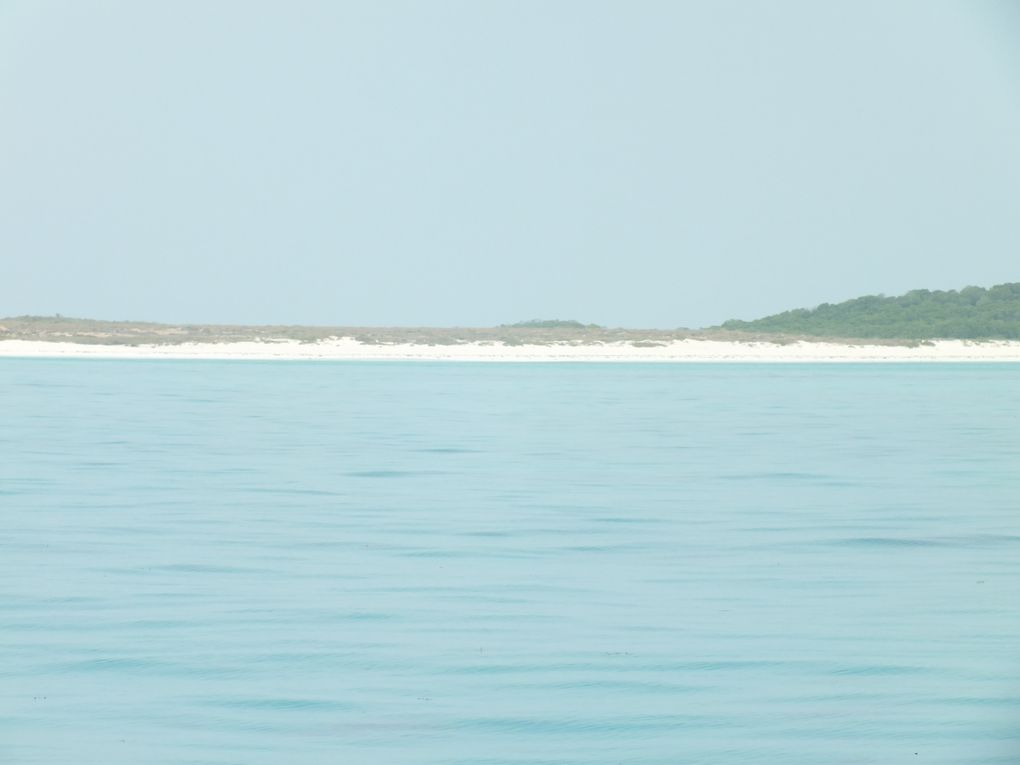 journée de repos sur l'île de Moucha!!! une eau turquoise de pure beautée!