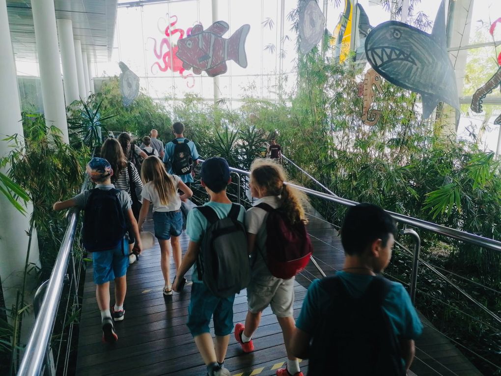 Sortie Jeunes Sagrada Família et Aquarium de Barcelona/Sortida Jovent Sagrada Família i Aquarium de Barcelona...