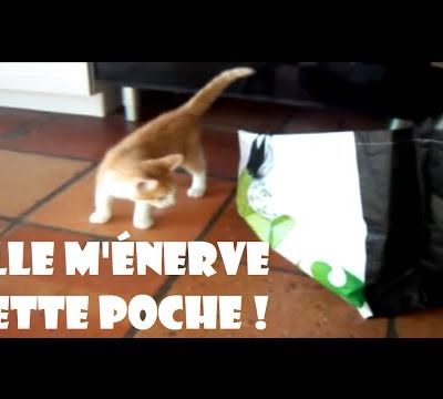 QUE DE LA CHANCE N°2 - Décembre 2013 - Elle m'énerve cette poche ! 