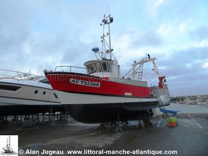 Port Haliguen Quiberon 17 janvier 2024