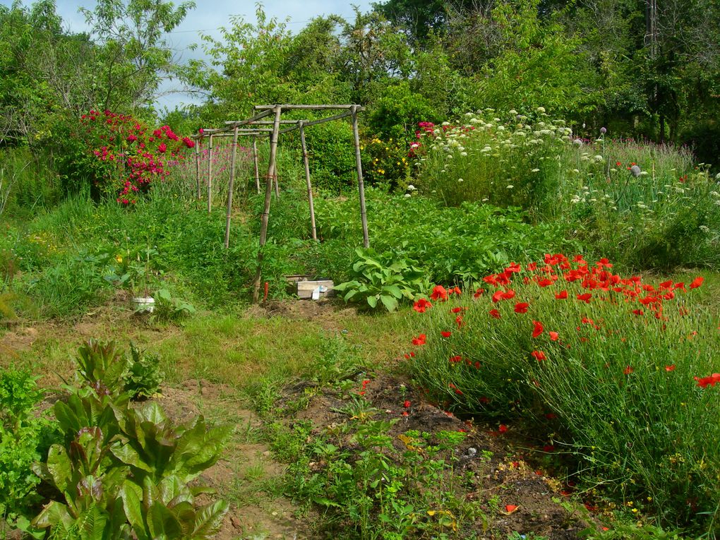 Les 4 saisons du potager