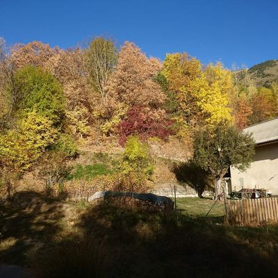 Classe rousse à « la fontaine de l’ours » du 9 au 13 octobre 2017