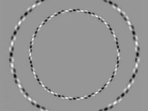 Quel est le trait rouge le plus grand ?   Ces cercles sont-ils parfaitement ronds ?