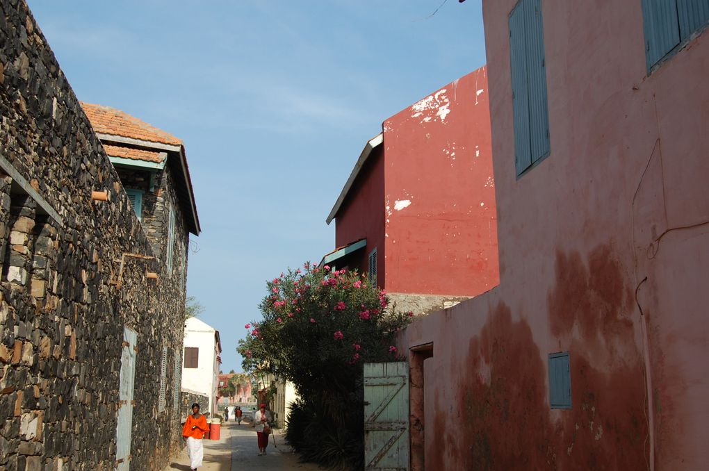 L'album de notre voyage au Sénégal en janvier 2014, le premier mais nous espérons qu'il y en aura d'autres tant ce pays est attachant.