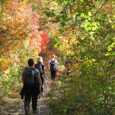 Sortie du samedi 15 octobre 2017 Montchaboud