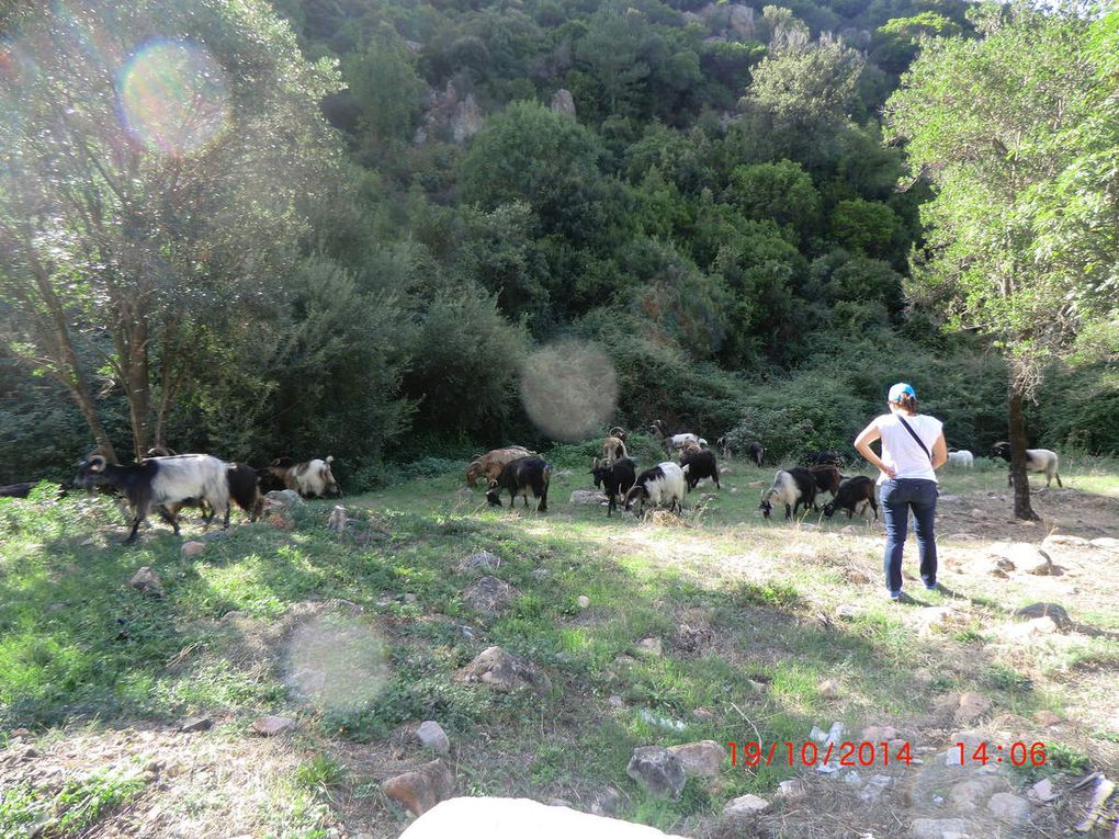 Superbe balade en Corse avec nos Deuches.