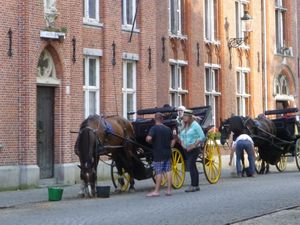 Bruges et chevaux... 