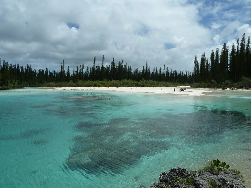 Album - Nouvelle-Caledonie-Iles-des-Pins