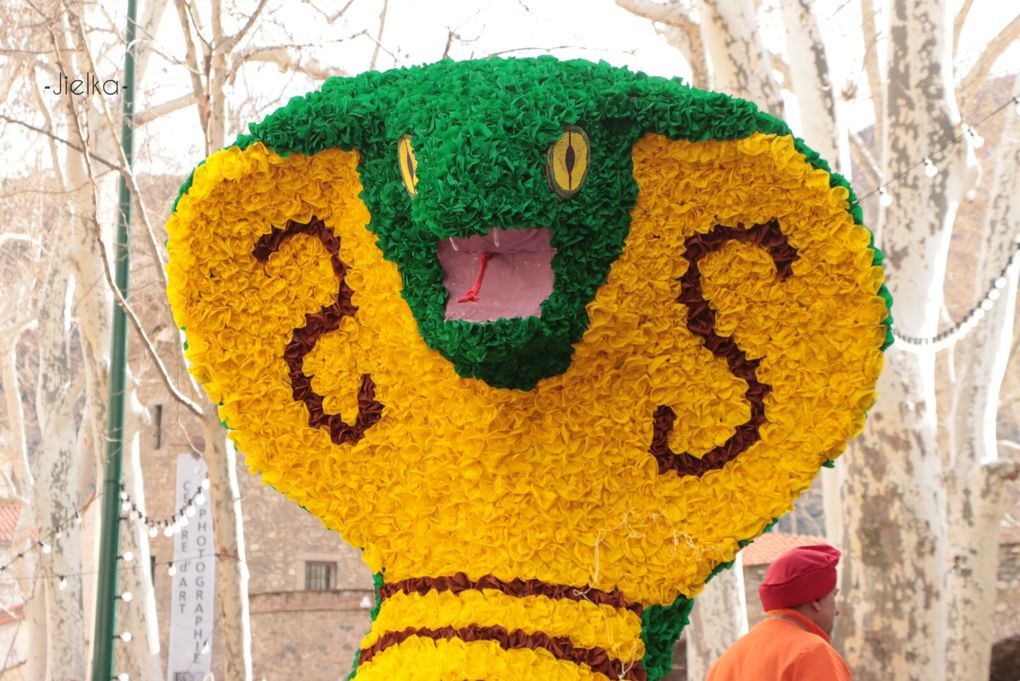 CARNAVAL 2024 A CERET (1ère cavalcade)