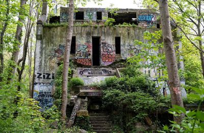 Bunker : Dans les Yvelines, l'avenir en suspens du " Bordel allemand "