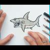 Como dibujar un tiburon paso a paso 13